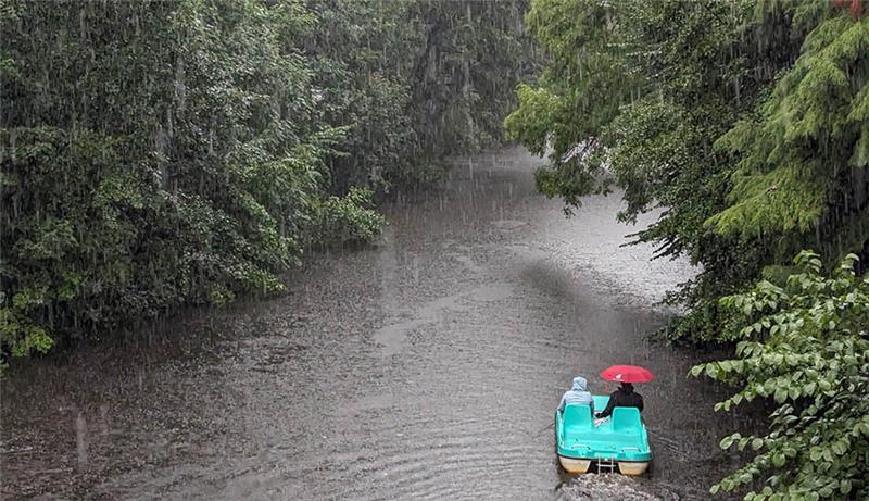 Tapfere Tretbootfahrer auf dem Burggraben in Stade. Foto: Freda Böhl