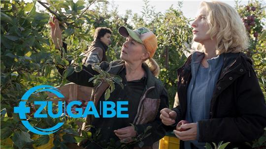 Tatort-Kommissarin Charlotte Lindholm (rechts) ermittelt im Obsthof während der Apfelernte.