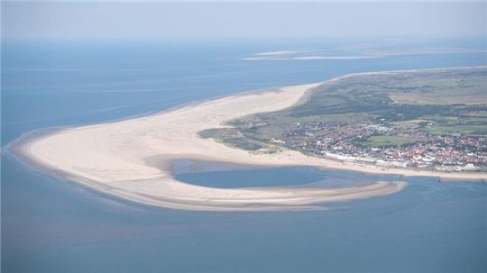 Taucher haben nahe einer geplanten Kabeltrasse vor der Insel Borkum artenreiche Steinformationen entdeckt. (Archivbild)