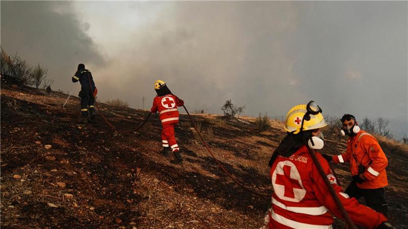 Brände: Entspannung in Griechenland und Hilferuf aus Spanien Tausende Feuerwehrleute sind in Griechenland im Einsatz.