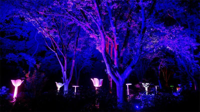 Tausende LED-Lichter wurden im Park installiert.