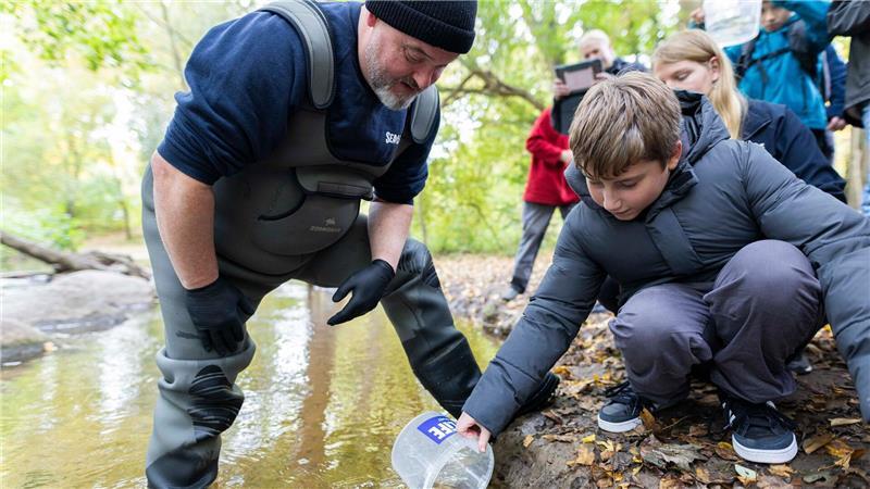 Schüler setzen 3.000 junge Lachse in Hannover aus Tausende Lachse werden von Schülern in Hannover ausgwildert.