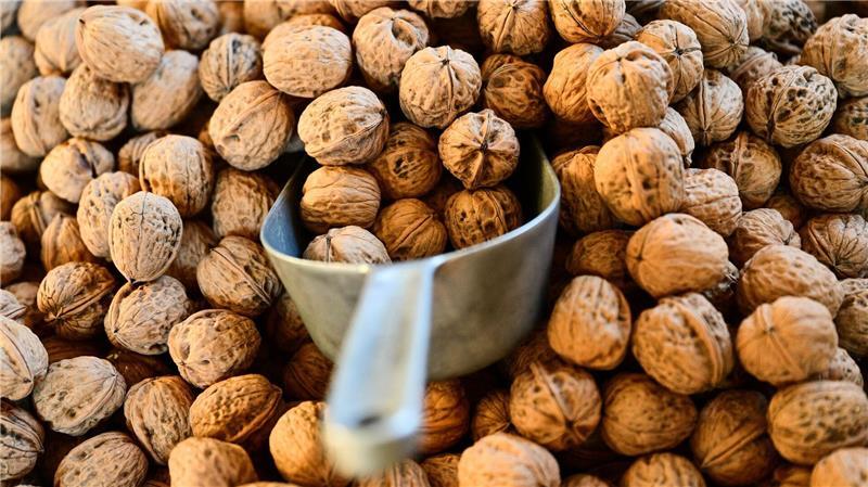 Tausende Tonnen Nüsse werden jedes Jahr nach Hamburg importiert. (Archivbild)