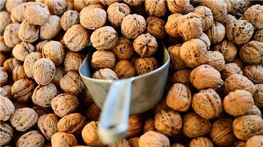 Tausende Tonnen Nüsse werden jedes Jahr nach Hamburg importiert. (Archivbild)