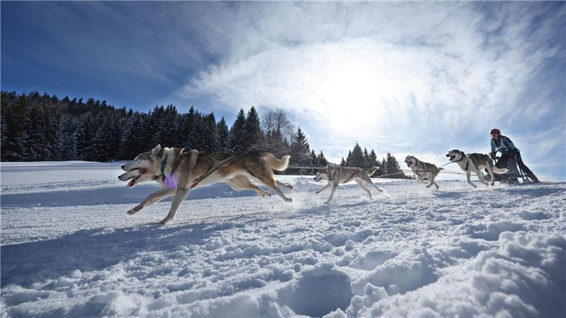 Teams aus etlichen Ländern in Europas gingen im bayerisch-österreichischen Grenzgebiet an den Start.