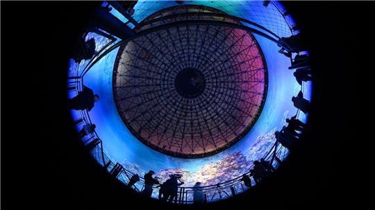 Teilnehmer des Presserundgangs betrachten das Panorama „Great Barrier Reef“ von Yadegar Asisi im im Panometer Dresden, einem ehemaligen Gasometer.