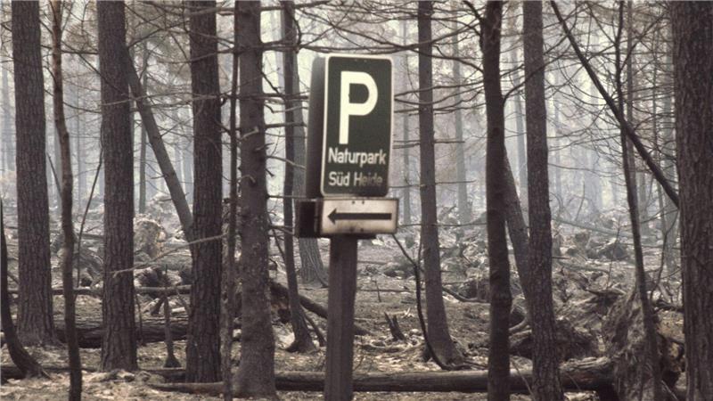Überlebender der Waldbrandkatastrophe erinnert sich lebhaft Teilweise wurden während des Feuers Orte evakuiert. (Archivbild)