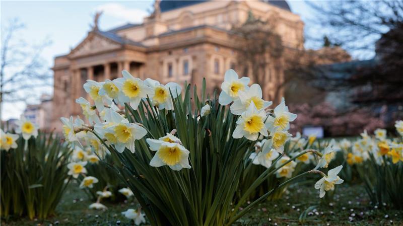 Wettermix bei oft milden Temperaturen Temperaturen bis zu 18 Grad erwartet der Wetterdienst in den kommenden Tagen.
