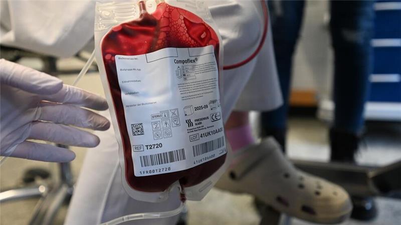 Tendenziell nehmen Bluttransfusionen bei Hunden zu, weil Besitzer bereit sind, teils auch viel Geld zu bezahlen.