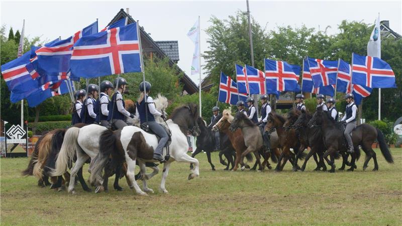 Teufels- und Bullenreiter in Bargstedt: Lokalmatadorin aus Finnland kämpft um Hauptpreis Teufelsreiter im Tölt: Die Isländer von Müllers Hoff zeigten ein rasantes Schaubild.