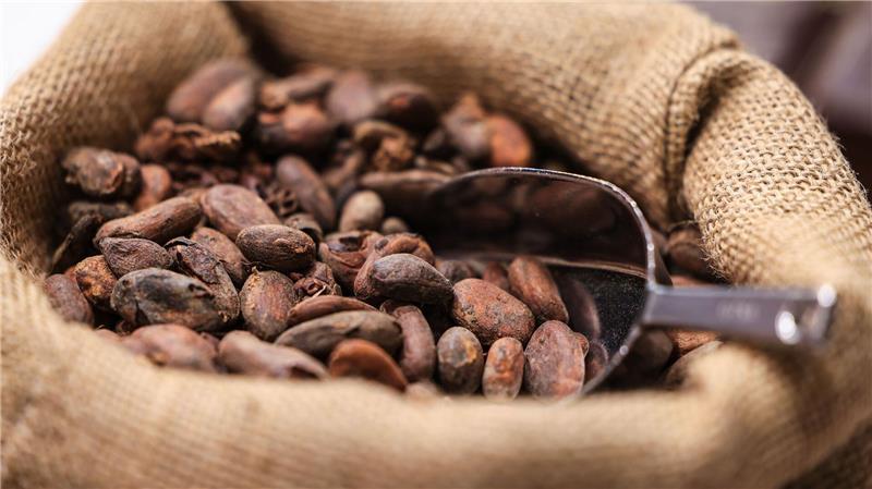 Teure Kakao-Importe sorgen für hohe Schokoladenpreise.