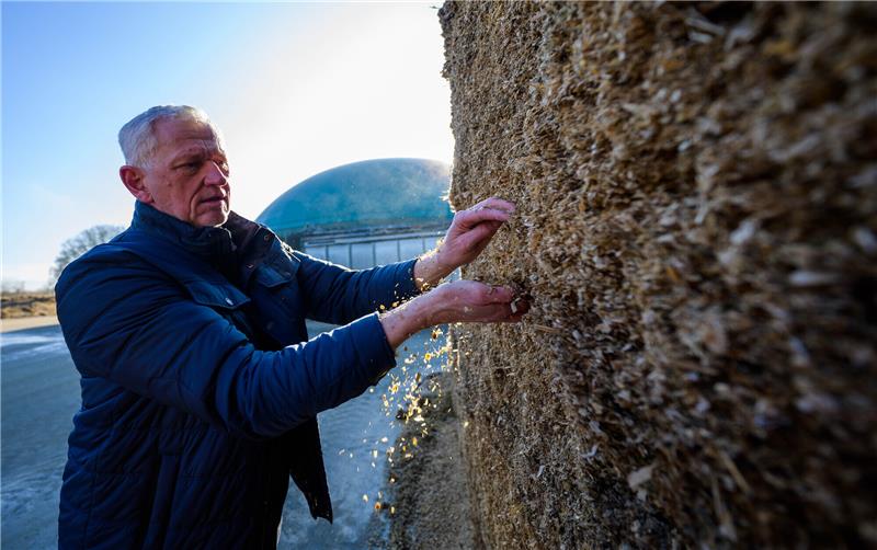 Thomas Koch, Geschäftsführer der örtlichen Biogasanlage, kontrolliert die Maissilage. Foto: Philipp Schulze/dpa