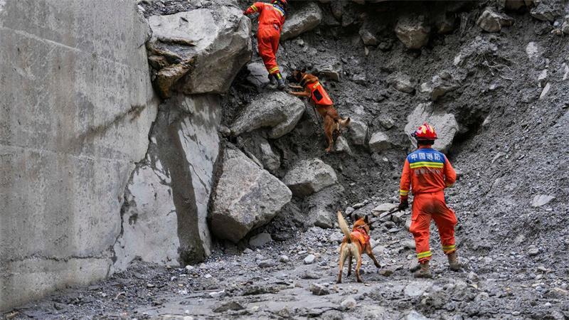 Tibet: Spürhunde im Schlamm – Rettungskräfte suchen in Gyirong nach der Sturzflut nach Opfern
