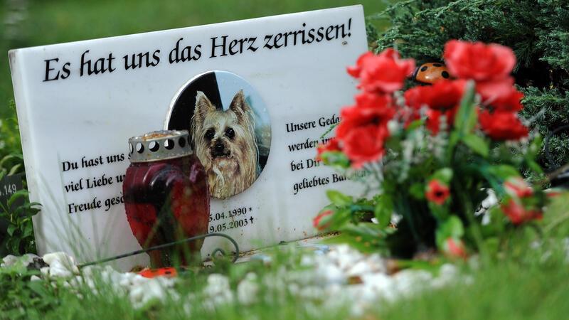 So würdevoll begleiten diese Tierbestatterinnen Haustiere auf ihrer letzten Reise Tierfriedhöfe wie diesen in Berlin gibt es im Cuxland bisher noch nicht.