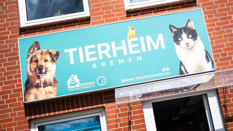Aufnahmestopp! Tierheime in Niedersachsen am Limit Tierheime im Nordwesten stoßen an ihre Grenzen.