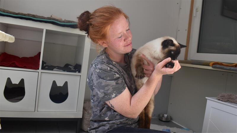 Angeschossen, gequält und zu Tode getreten: Mehr Fälle von Katzenhass Tierheimleiterin Laura Reyelts mit Siam-Katze Chocolate, die durch Knochenbrüche nicht mehr so beweglich ist und dazu taub. Sie wurde auf einem Müllhaufen gefunden.