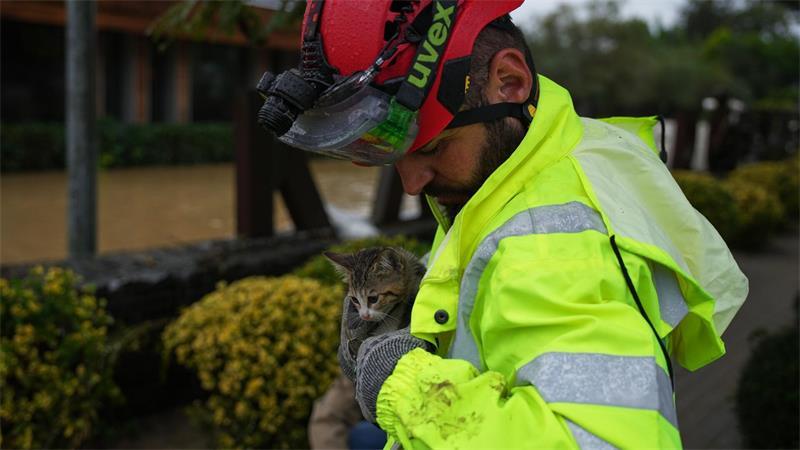 Tierrettung in der Türkei: Katze nach Regenfluten im Arm eines Helfers