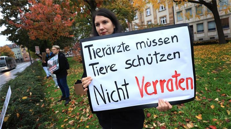 Angeklagte Tierärztin: Warnung vor Kontrollen gang und gäbe Tierschützer haben den Skandal aufgedeckt.