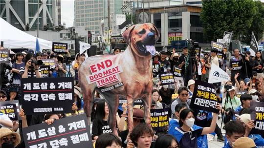 Tierschützer veranstalten eine Kundgebung gegen die traditionelle Kultur des Verzehrs von Hundefleisch in Südkorea.