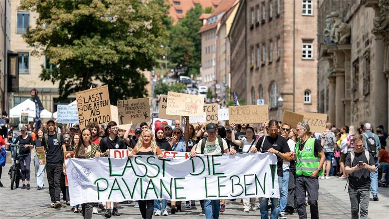 Tierschützerinnen und Tierschützer protestierten im vergangenen Jahr wiederholt gegen die Pläne des Tiergartens, einzelne Paviane aus Platzmangel zu töten. (Archivbild)