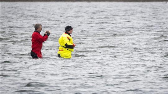 Till Backhaus läuft zum Buckelwal