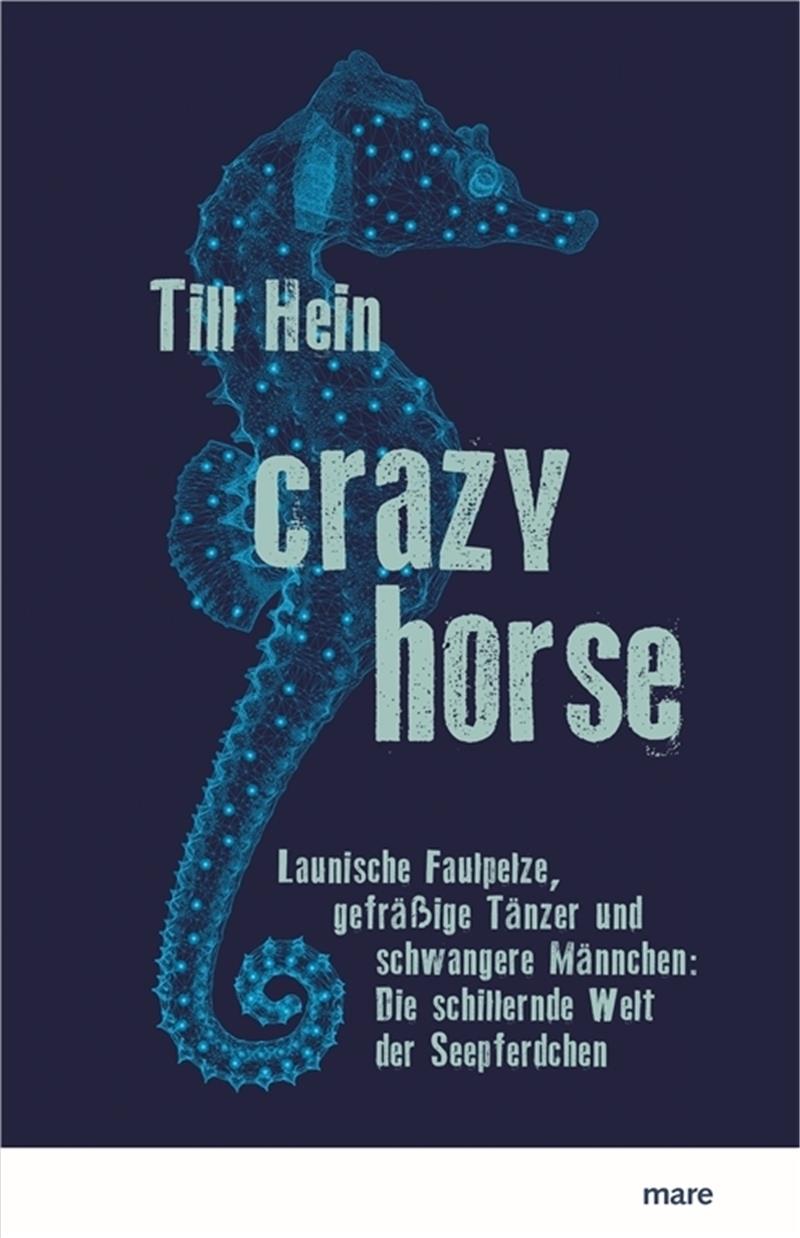 Till Hein liest aus seinem Buch „Crazy Horse“ über Seepferdchen.