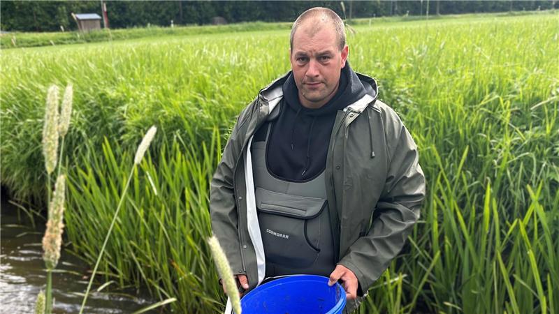 Schon wieder die Aue: Pilz richtet großen Schaden in dem Fluss an Timo Buning, Vorsitzender des Angelvereins Horneburg, im Mai, als Tausende Fische in der Aue starben.