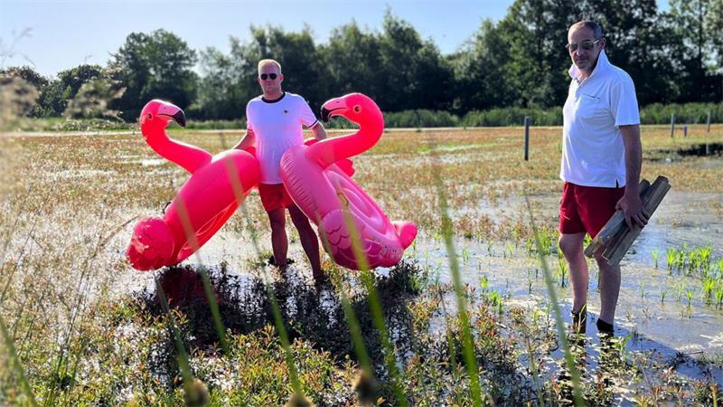 Tjade Handke (links) und Carlo Walter, Mitarbeiter der Stadt Geestland, bringen Flamingo-Badereifen in die Moorfläche, auf der wieder Rohrkolben wachsen sollen.
