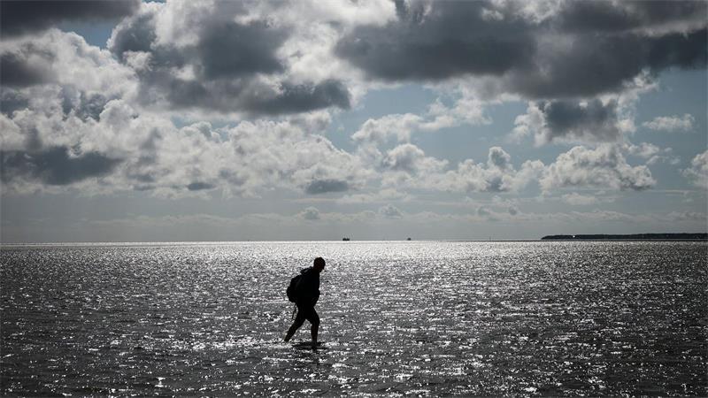 Tobias Goldschmidt (Bündnis 90/ Die Grünen), Umweltminister von Schleswig-Holstein, geht bei einer Wattwanderung der Nationalparkverwaltung von Dagebüll auf die Hallig Oland durch das auflaufende Wasser zurück nach Dagebüll.