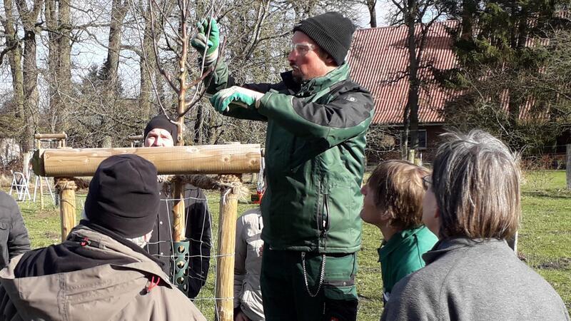 Nabu gibt praktische Tipps: So gelingt die Obsternte im nächsten Jahr Torsten Brunkhorst zeigt den Teilnehmenden direkt am Baum, worauf es beim Schnitt ankommt.