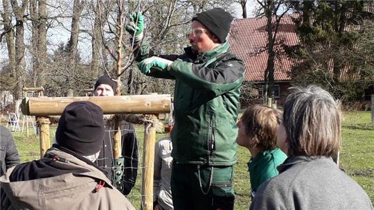 Torsten Brunkhorst zeigt den Teilnehmenden direkt am Baum, worauf es beim Schnitt ankommt.