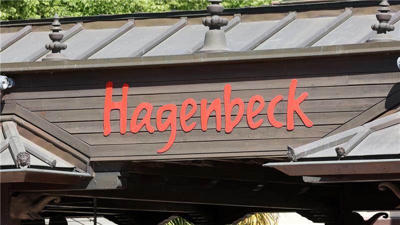 Tragischer Unfall im Mandrill-Gehege: Ein junger Affe stirbt. (Symbolfoto)