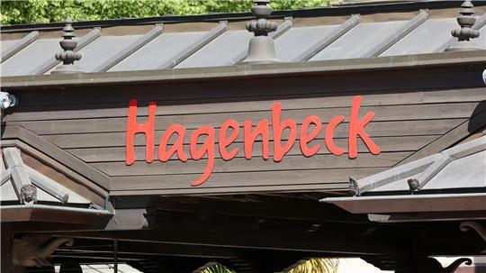 Tragischer Unfall im Mandrill-Gehege: Ein junger Affe stirbt. (Symbolfoto)