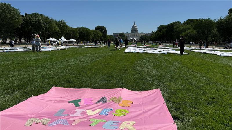 Angst, Widerstand - Wie Transpersonen unter Trump leben „Trans Lives Matter“ - auf der National Mall vor dem Kapitol sind am ersten Tag der Worldpride verschiedene Banner zu sehen, auf denen die Rechte von Transpersonen eingefordert werden.