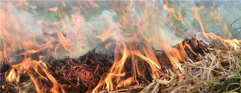 Trockenes Gras oder Stroh brennen lichterloh. Das Feuer breitet sich in Windeseile aus. Die Löscharbeiten gestalten sich oft schwierig und sind langwierig. Foto Beneke