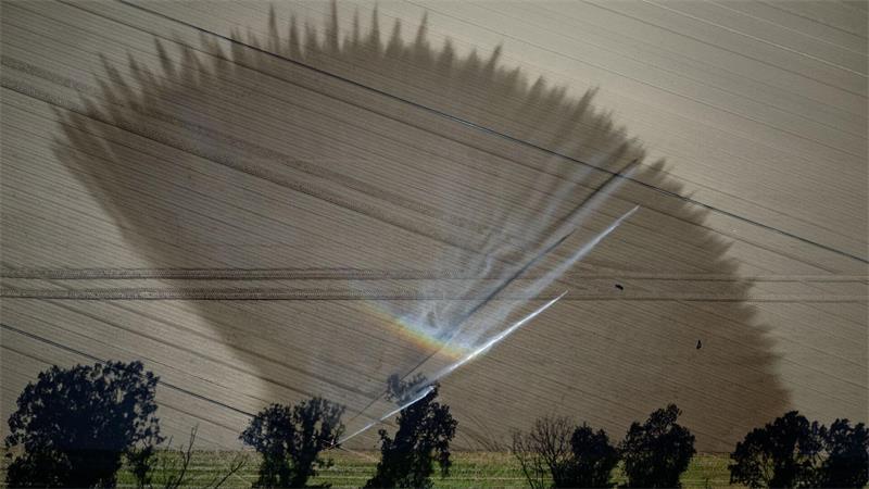 Trockenheit in Deutschland: Ein Feld bei Köln wird bewässert.