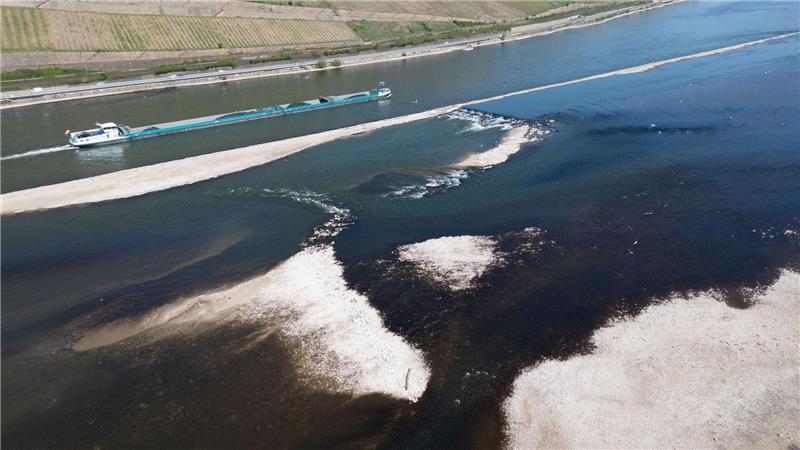 Trockenzeit: Ein Binnenschiff fährt auf dem Rhein bei Bingen. Nach einer langen Trockenphase liegt der Wasserstand des Rhein deutlich unter dem normalen Niveau.