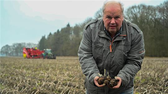 Trotz Keimen: Johann Höft ist guter Dinge, dass ein großer Teil der Kartoffeln noch weiterverarbeitet werden kann.