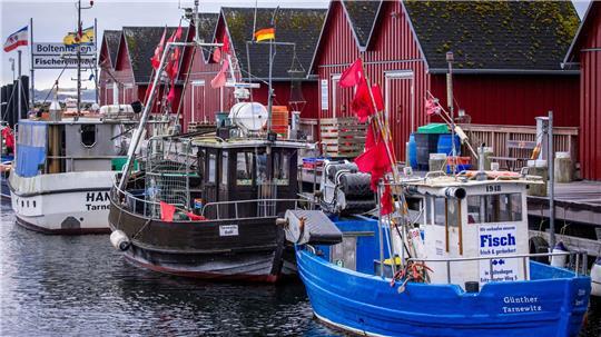 Kaum neue Einschränkungen für Ostsee-Fischer Trotz Sorgen um Dorsch und Hering: Für die deutschen Ostsee-Fischer bleibt fast alles beim Alten. (Symbolbild)
