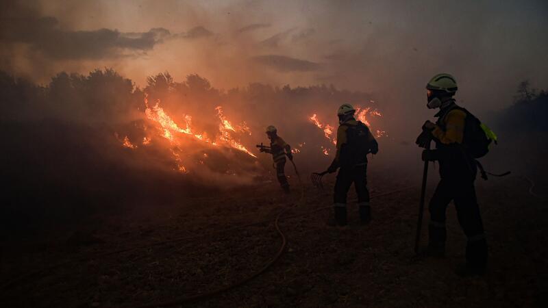 Trotz der Hitze ging die durch Waldbrände zerstörte Fläche in diesem Jahr um 46 Prozent im Vergleich zum Vorjahreszeitraum zurück. 