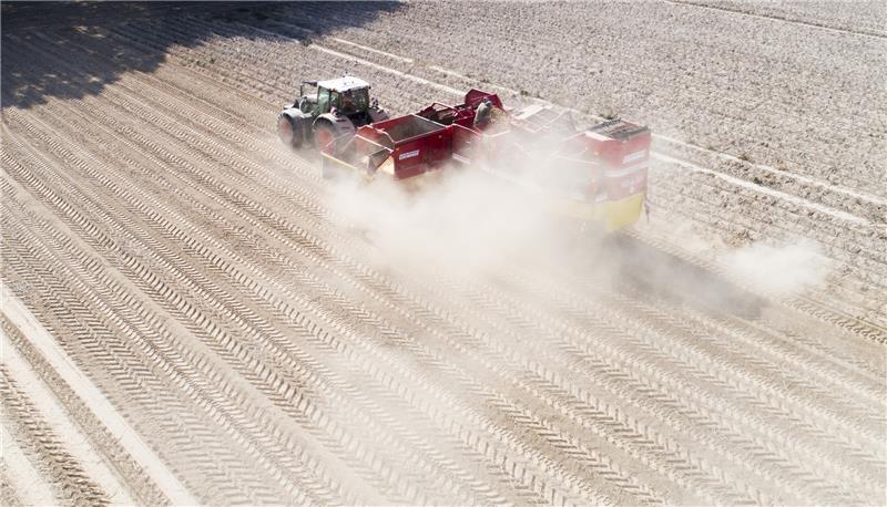 Trotz eines regenreichen Frühlings sind die Wasservorräte im Boden in vielen Regionen Niedersachsens nach wie vor kritisch. Foto: Julian Stratenschulte/dpa