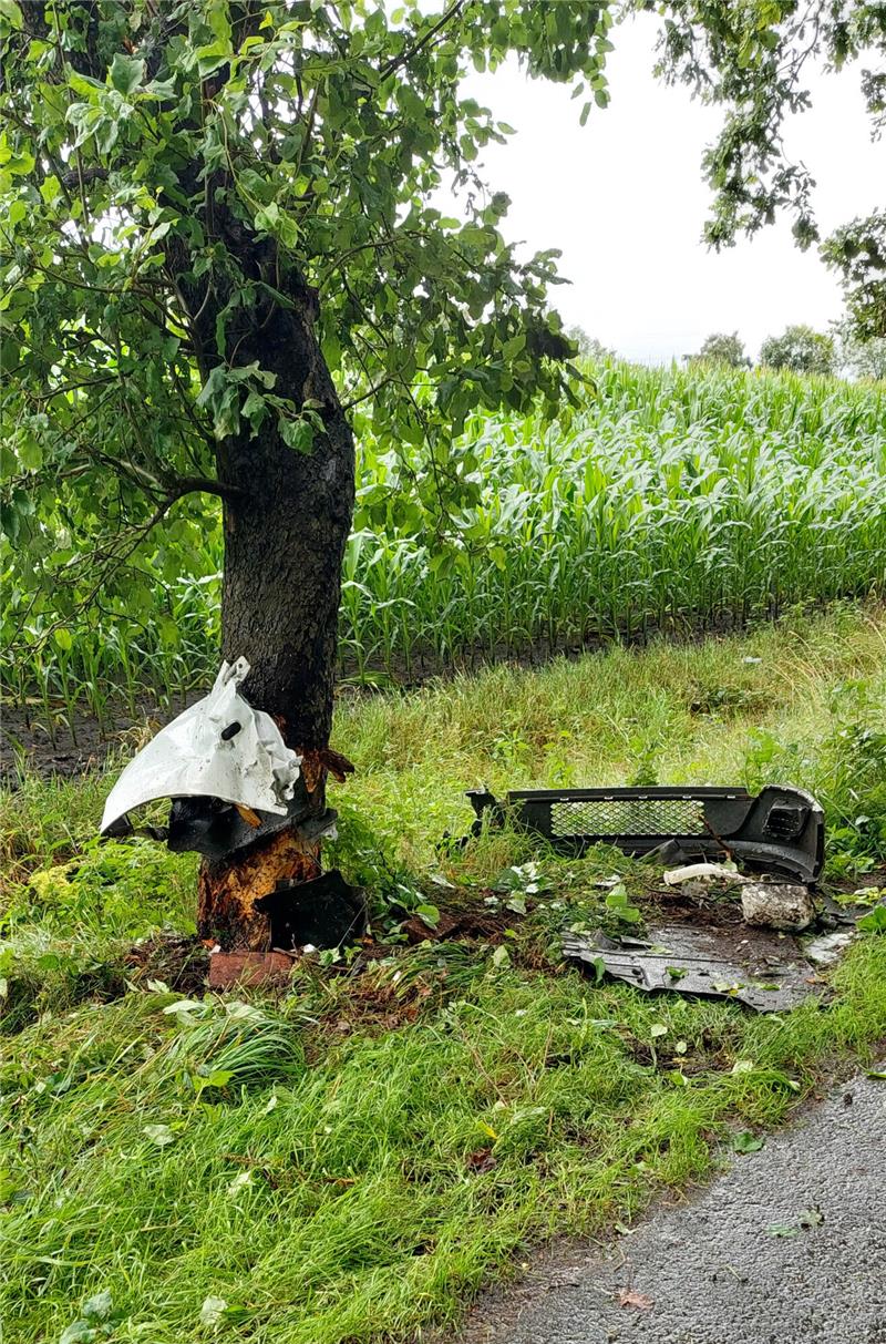 Trümmerteile des Wagens blieben im Baum stecken. Foto: Melanie Müller