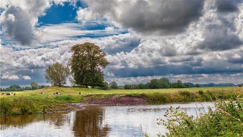 Naturschutz auf Krautsand: Wie geht es weiter mit den Nebenelben? Typisch für die ursprüngliche Landschaft: ein Priel auf Krautsand.