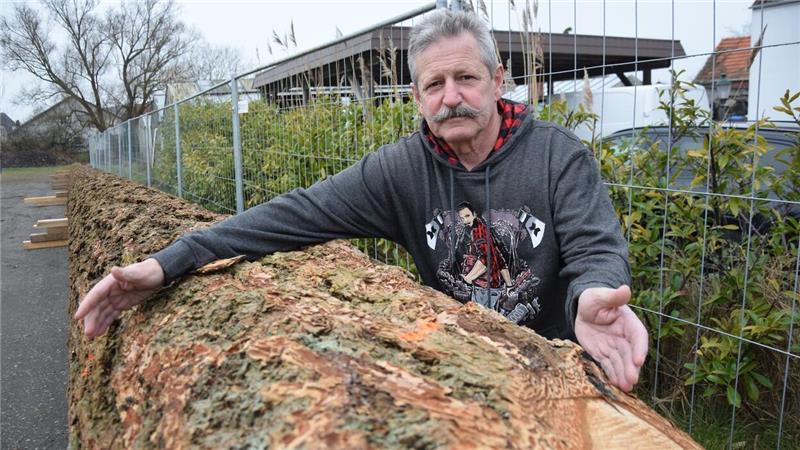 Gastronom stinksauer: Neuer Maibaum ist viel kürzer als vereinbart Udo Venemas Kumpel Bert Seemüller (Foto) wollte den Schwarzwald-Import eigentlich in den kommenden Tagen schälen. Doch die Rinde bleibt jetzt erst einmal am Stamm - bis alles geklärt ist. Foto: Kühnemuth