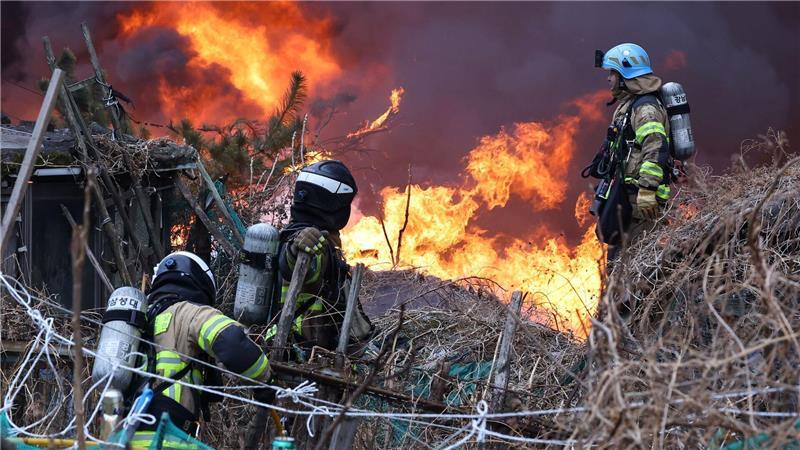Über 1.200 Einsatzkräfte waren gegen die Flammen im Einsatz.