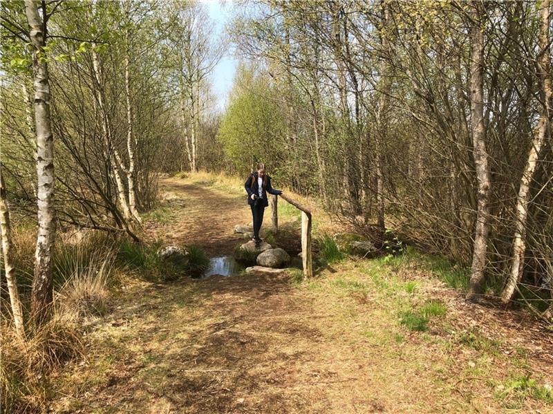 Wanderung mit Mermaid und Elfen im Moor Über Stock und über Stein geht es auf den Wegen im Moor.
