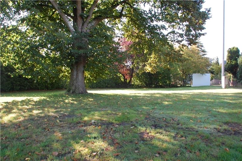 Streit um gefällte hundertjährige Kastanie: Ersatz in Beckdorf ist geplant Über die Fläche der gefällten Kastanie an der Goldbecker Straße ist bereits Gras gewachsen - nicht aber über den Vorfall, der weiterhin Wurzeln in Beckdorf schlägt. Foto: Laudien