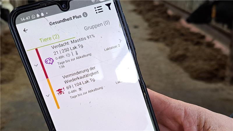 KI-Sensoren im Kuhmagen: So erkennen Landwirte erkennen Krankheiten früher Über die Smaxtec-App bekommen Landwirte eine Nachricht auf ihr Handy, wenn sich bei einer ihrer Kühe eine Krankheit anbahnt.