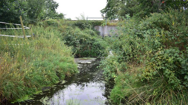 Über diese Bahnbrücke fährt der RB 33 - noch sicher. Sollten die Nutrias aber weiterhin unaufhaltsam Uferböschungen untergraben, wird der Eisenbahndamm instabil.