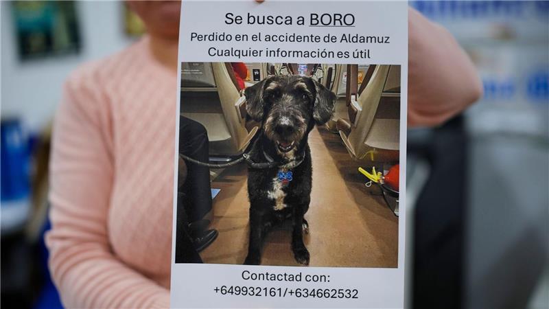 Über diese Familienzusammenführung freut sich ganz Spanien.